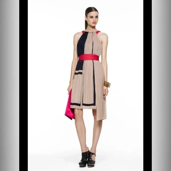 BCBGMaxAzria Dresses Bcbg Sleeveless Pleated Color Block Dress